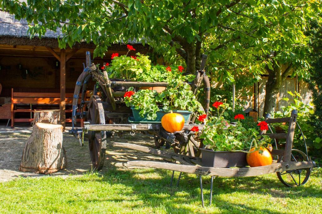 Kaktusz Villa Hévíz 외부 사진